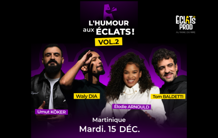Plateau Humour Aux Eclats Vol 2 Avec Waly Dia, Tom Baldetti, Umut Koker Et Elodie Arnould.