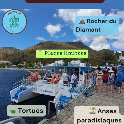 Excursion Sud Et Rocher Du Diamant Au Départ Du Bourg Des Trois-Ilets Dimanche 03 Mai 2026