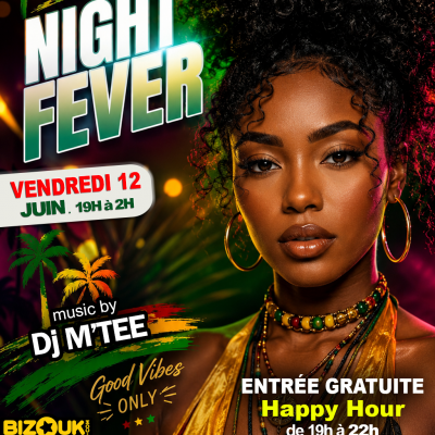 Friday Night Fever - Dj M'Tee ( à 3 Minutes à Pied De La Rue Colorée )