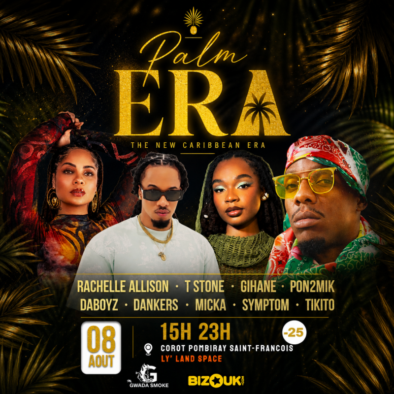 Palm Era
