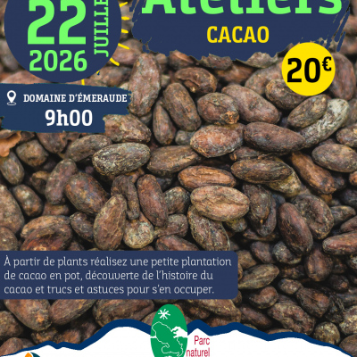 Ateliers Cacao