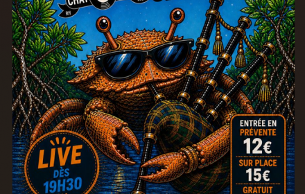 Mangroove Session 9